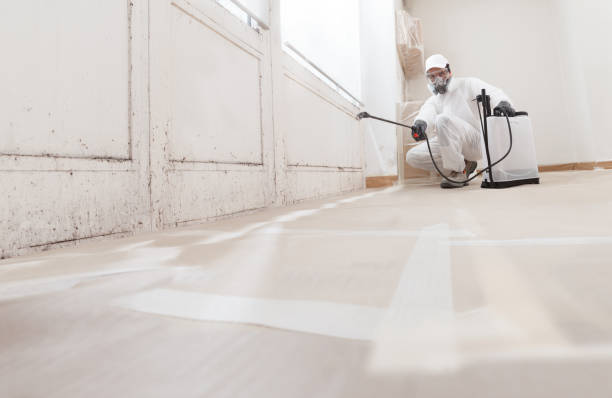 24/7 Emergency Commercial Mold Remediation experts in Fort Hill, PA
