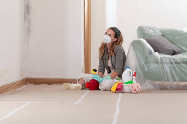 Reliable Commercial Mold Remediation contractor in Fort Hill, PA by WQB Mold Removal