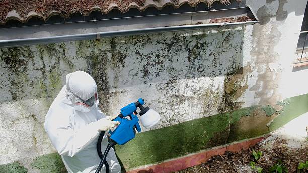 Top rated local Commercial Mold Remediation specialists in Fort Hill, PA